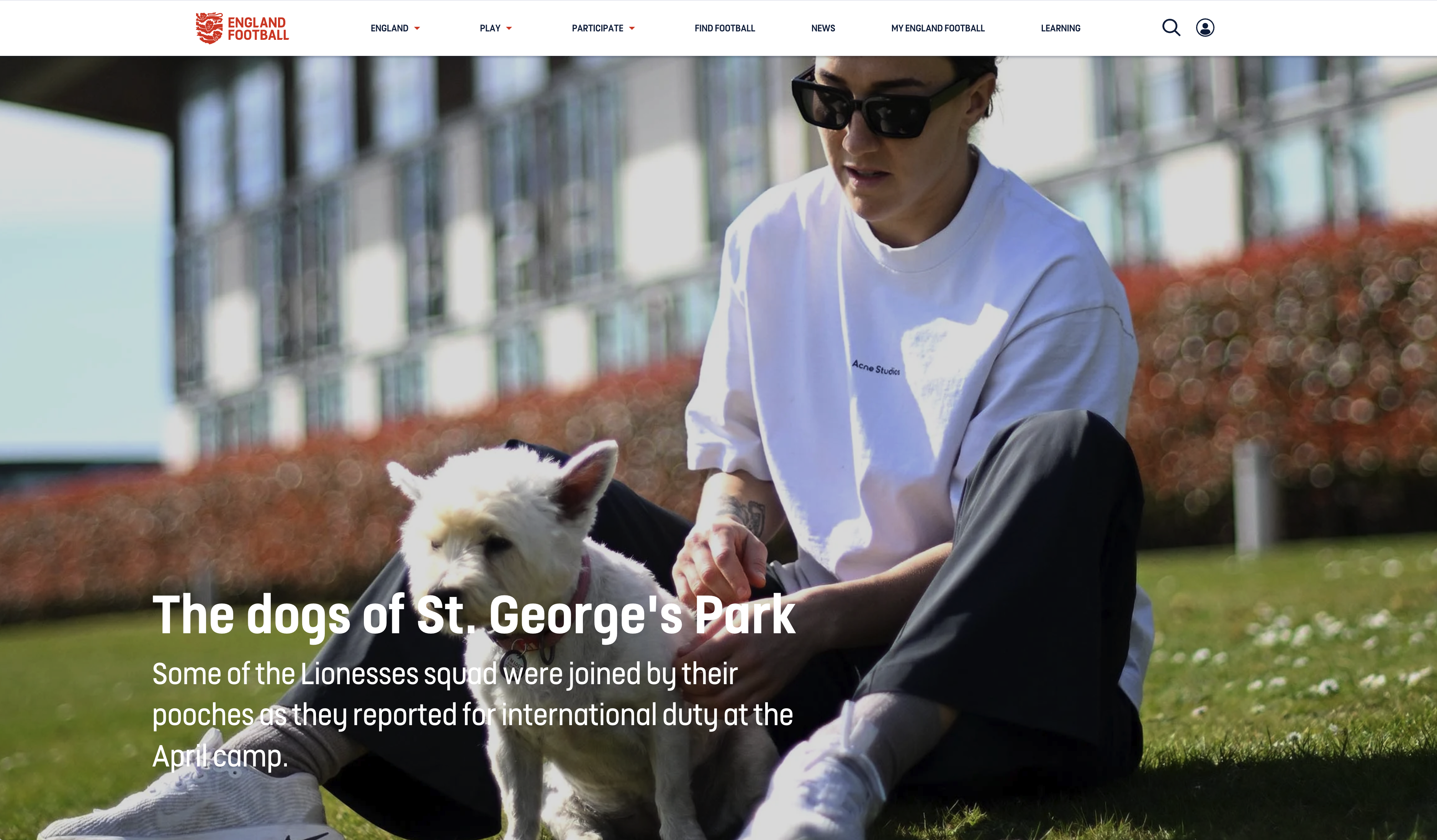Title image from 'The dogs of St Georges Park' digital story.