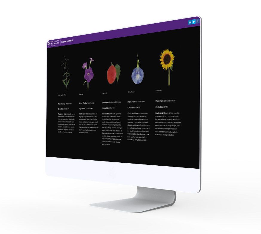 Image of plants on a computer screen.