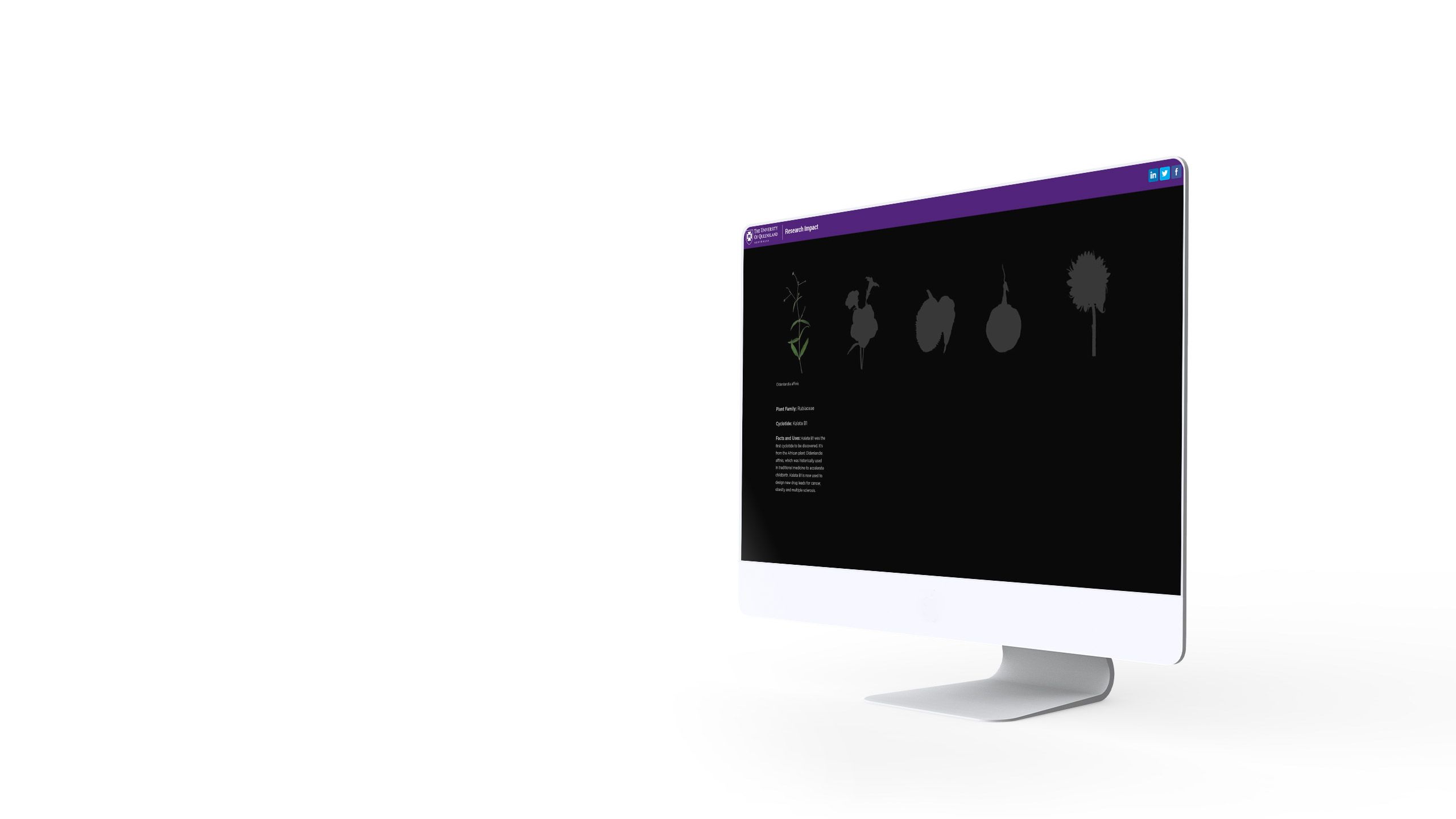 A computer screen, mostly blank.