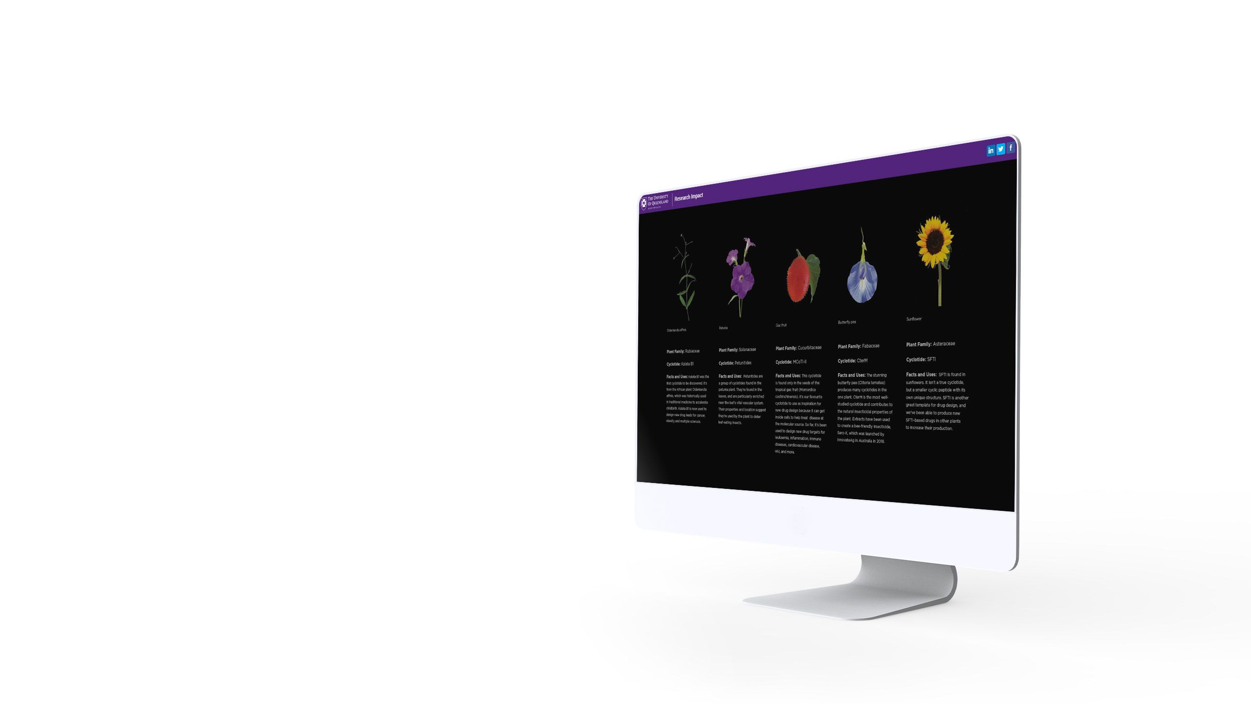 A computer screen with images of plants in columns.