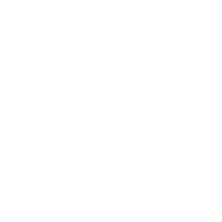 Shield icon