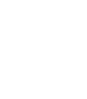Lightning bolt icon