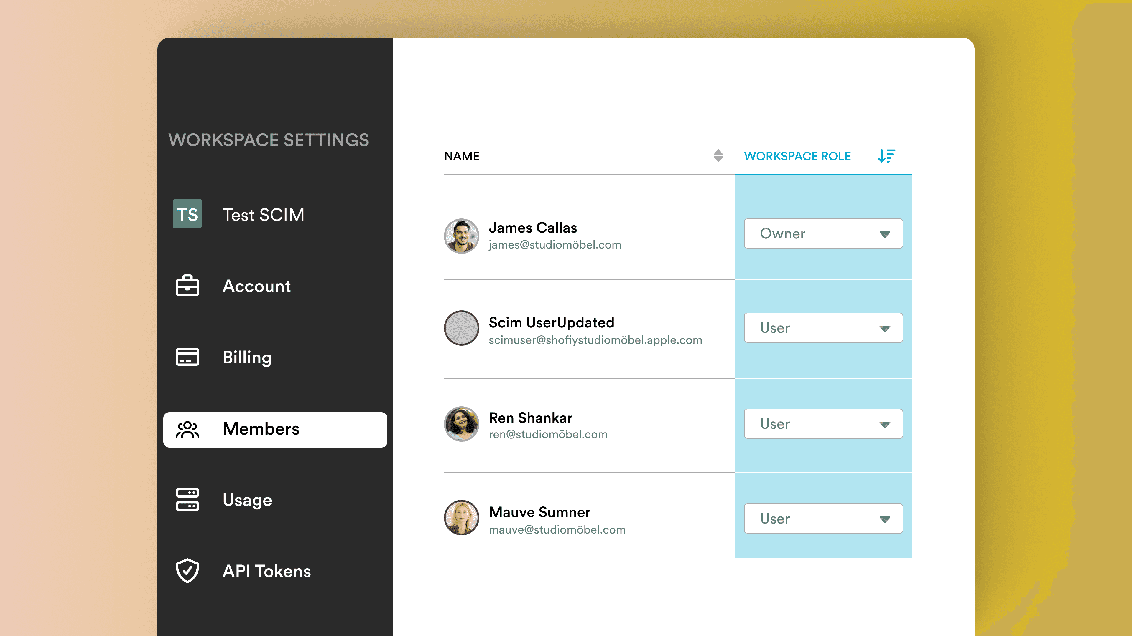 Workspace settings showing member roles and permissions