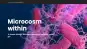 Science communications feature story design template