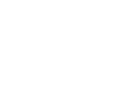 Wordpress logo