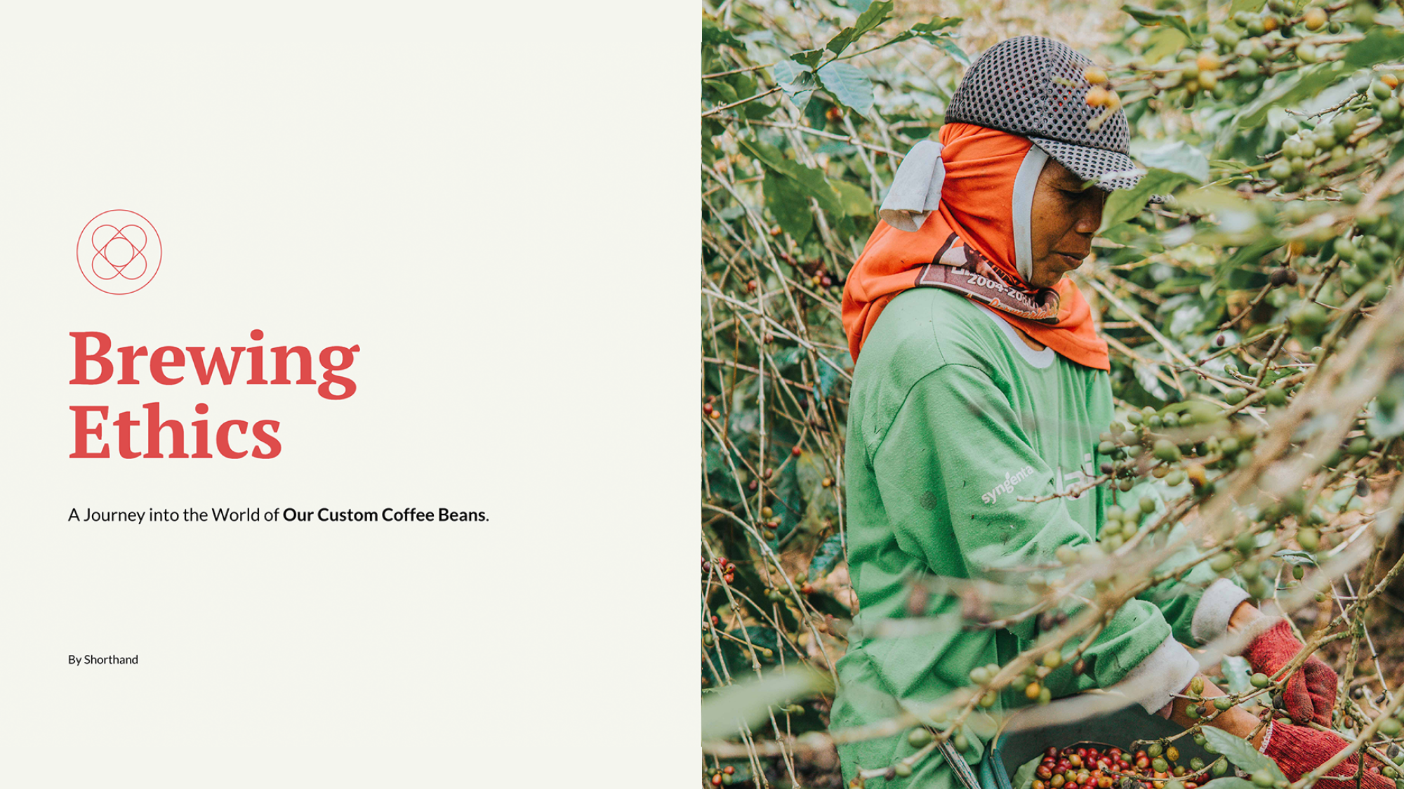 Brand story template thumbnail