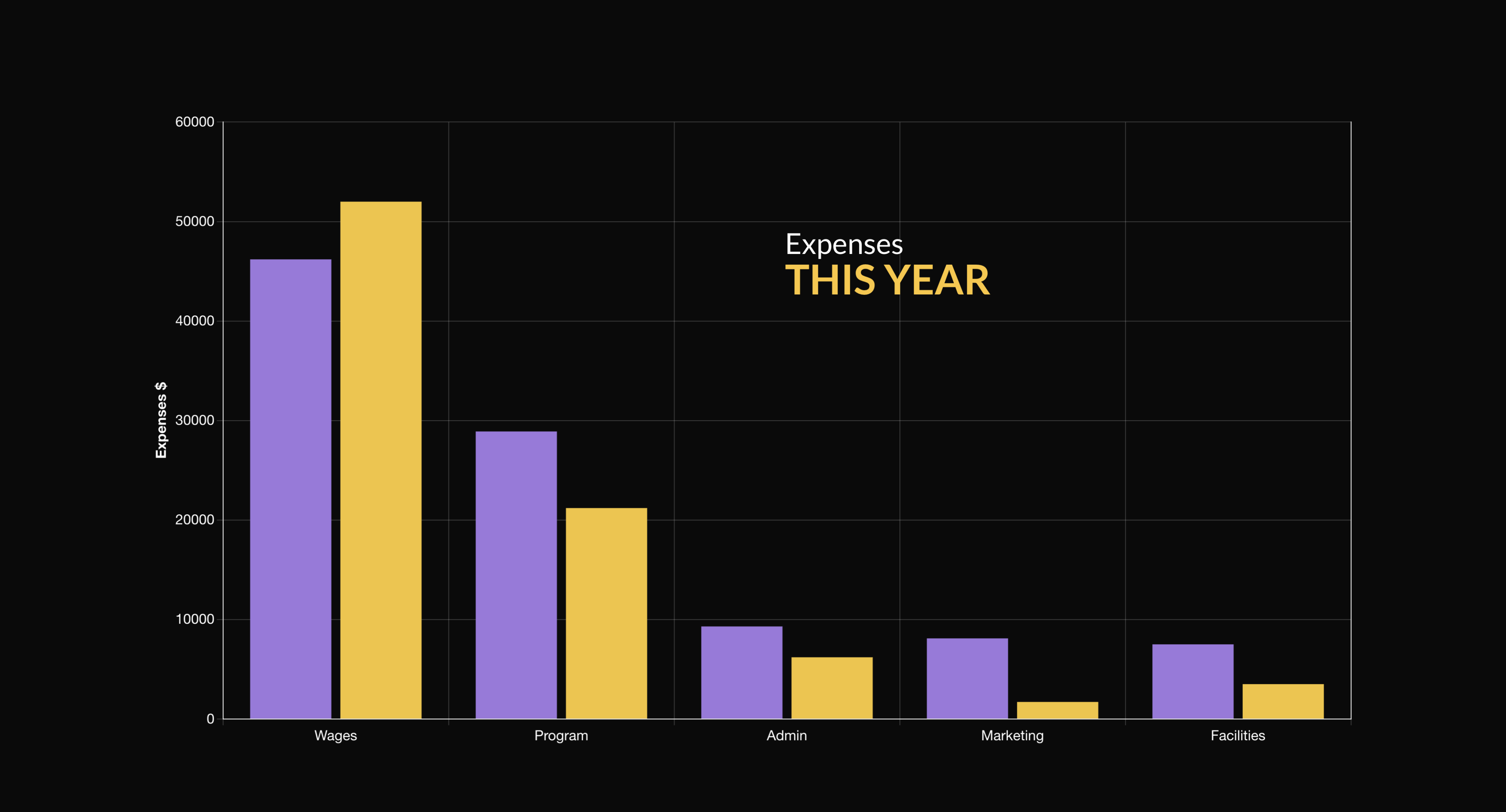 A graph showing expenses this year