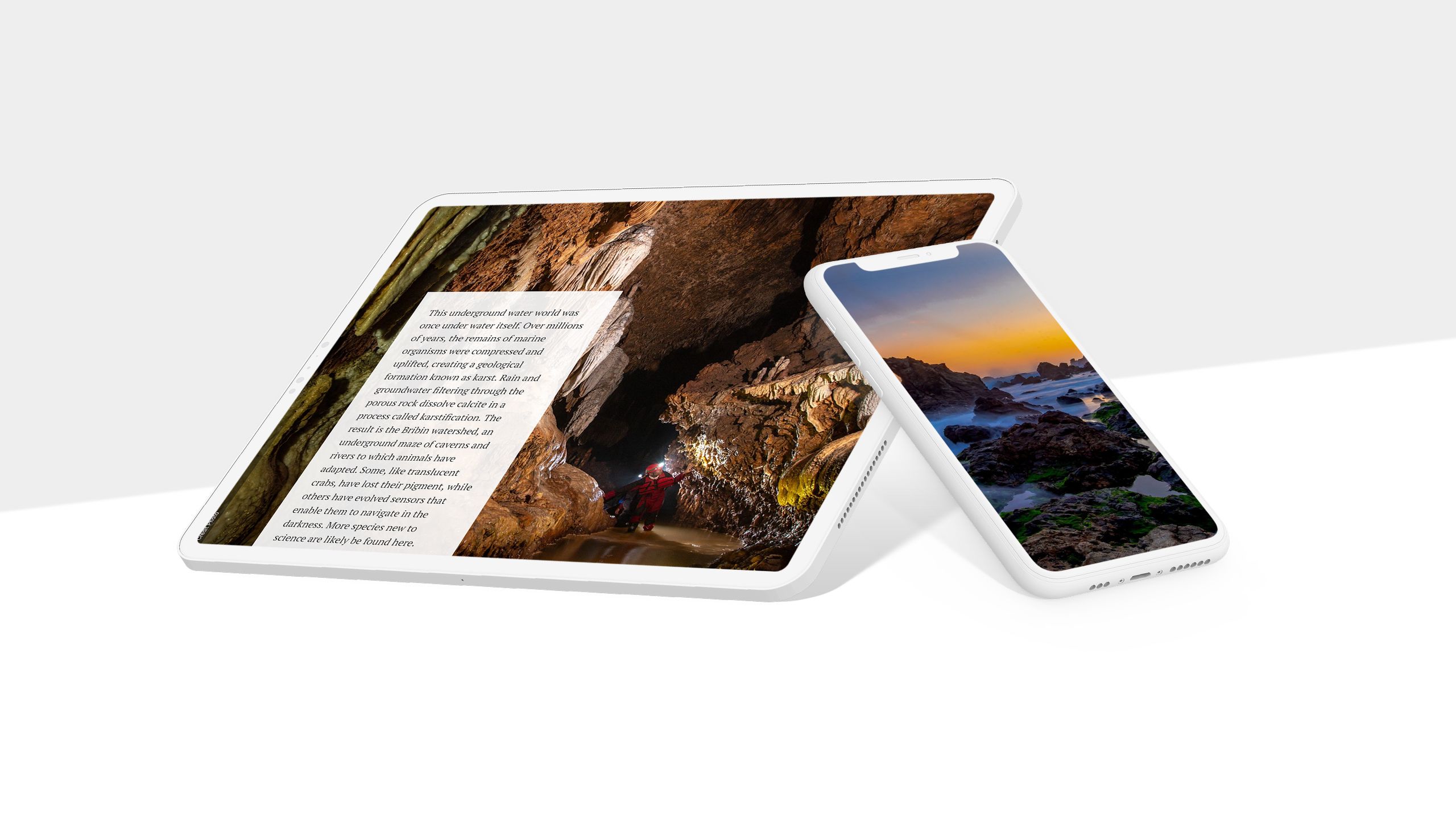 g screenshots from story on Indonesian forests.