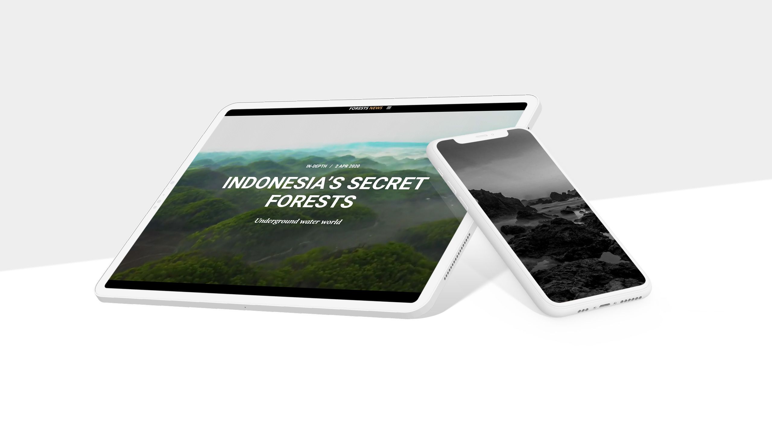 Tablet and phone showing screenshots from story on Indonesian forests.