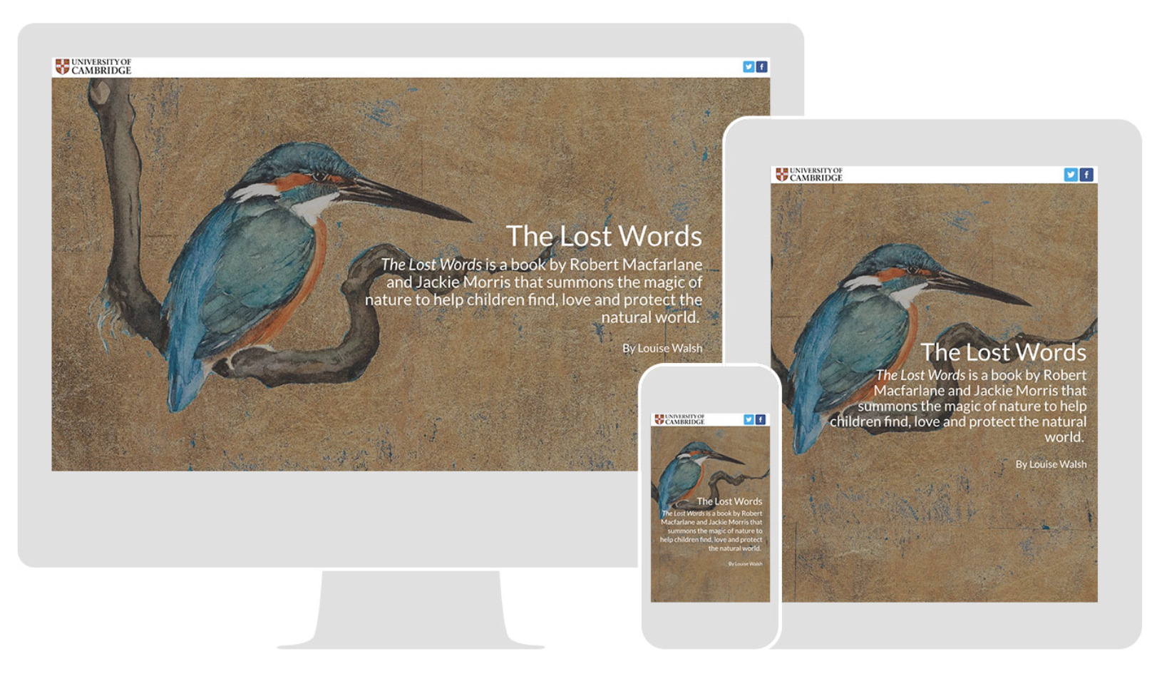 The Lost Words, by the University of Cambridge, renders responsively across all devices