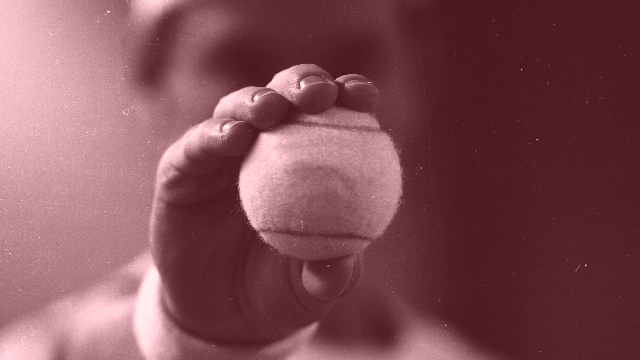 Close-up for a hand holding a tennis ball