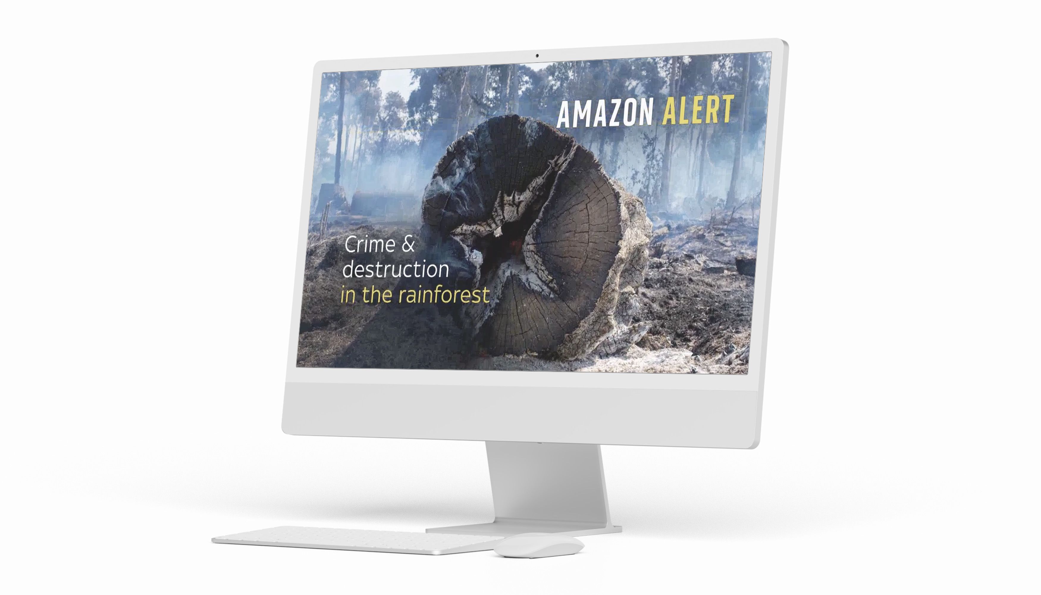 Image from Sky News' story on deforestation in the Amazon