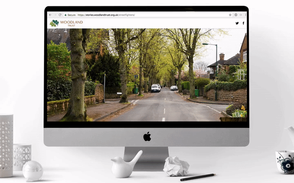 Street Fighters, Woodland Trust