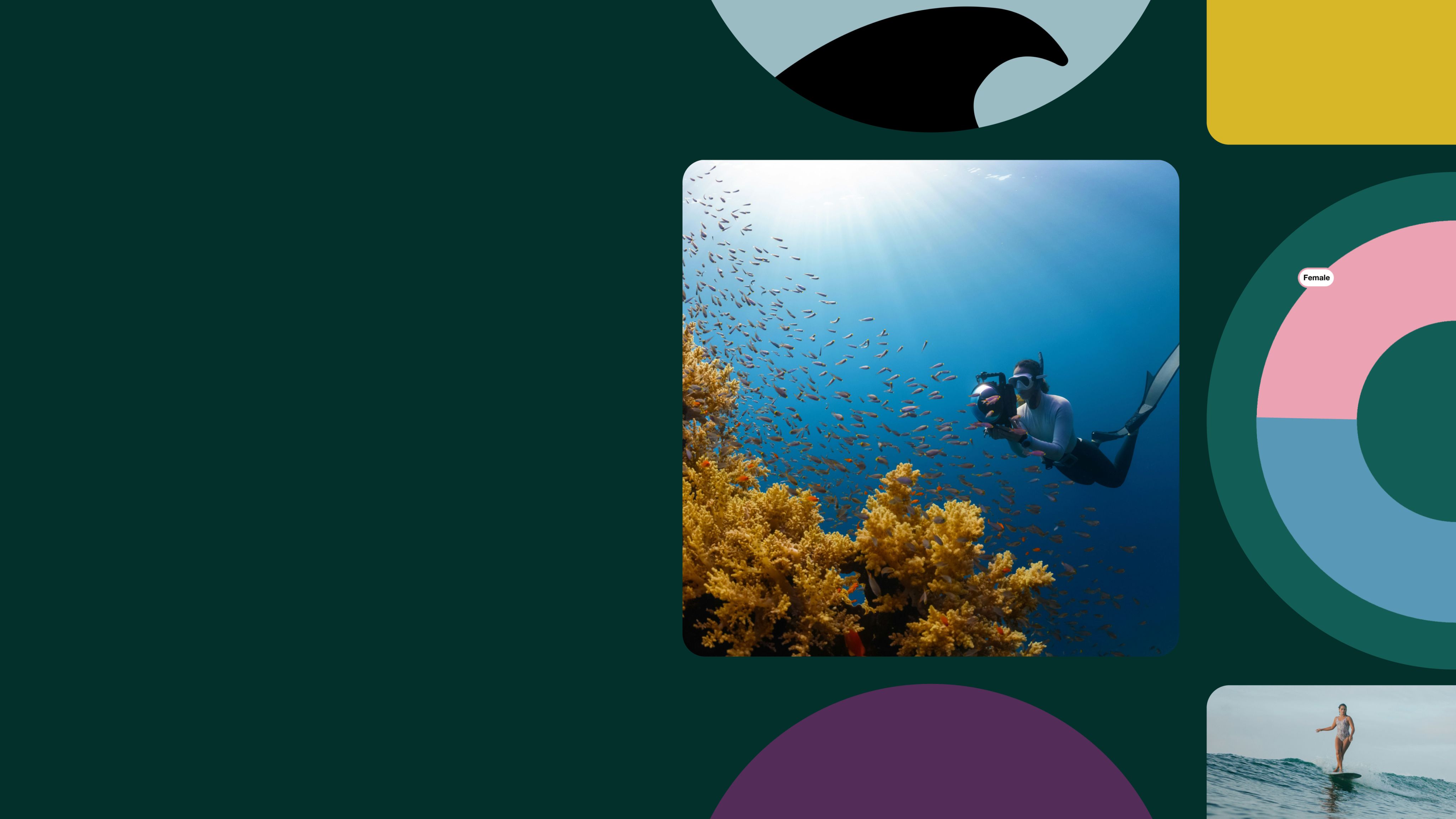Collage images on a dark green background: a scuba diver, a doughnut chart, and a surfer.