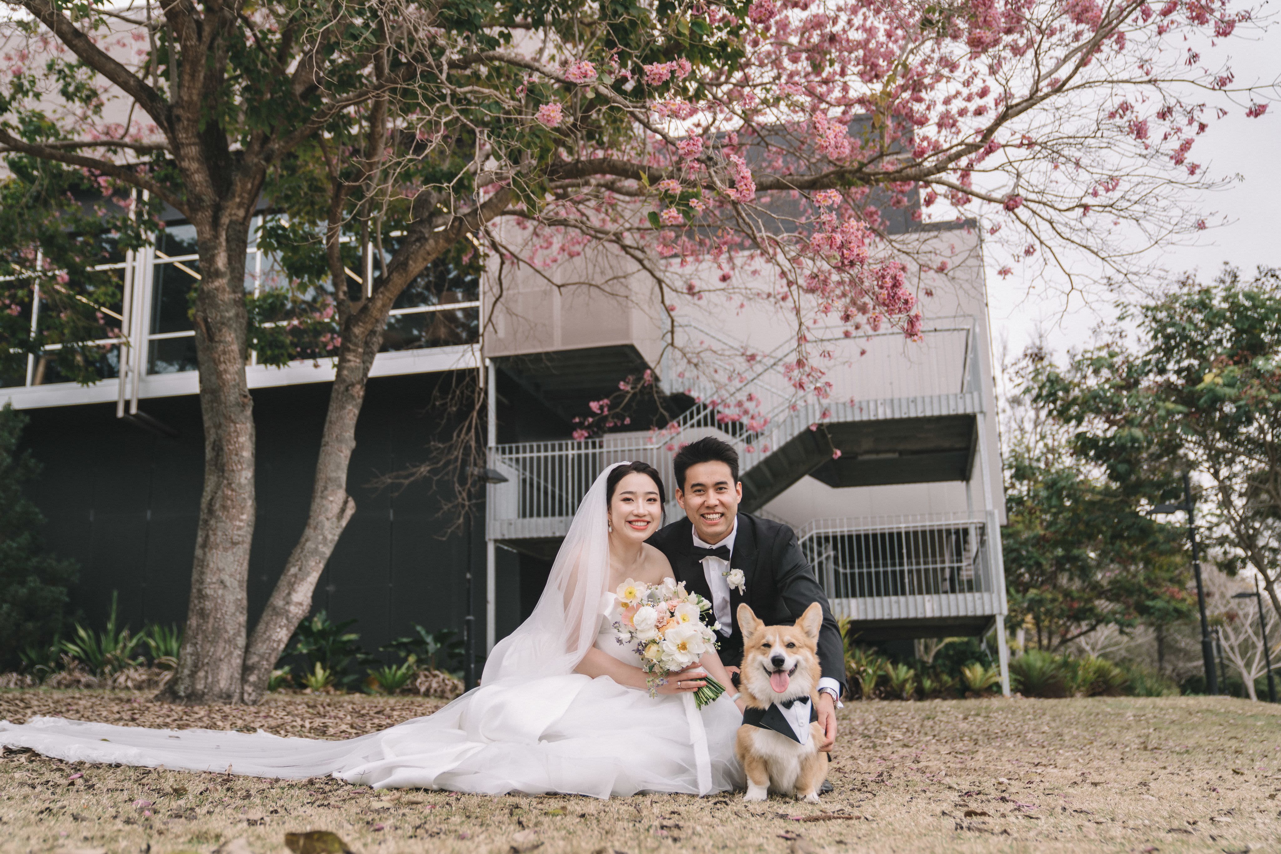 Wedding photo of a couple with light skin and black hair photographed with their corgi in a suit.