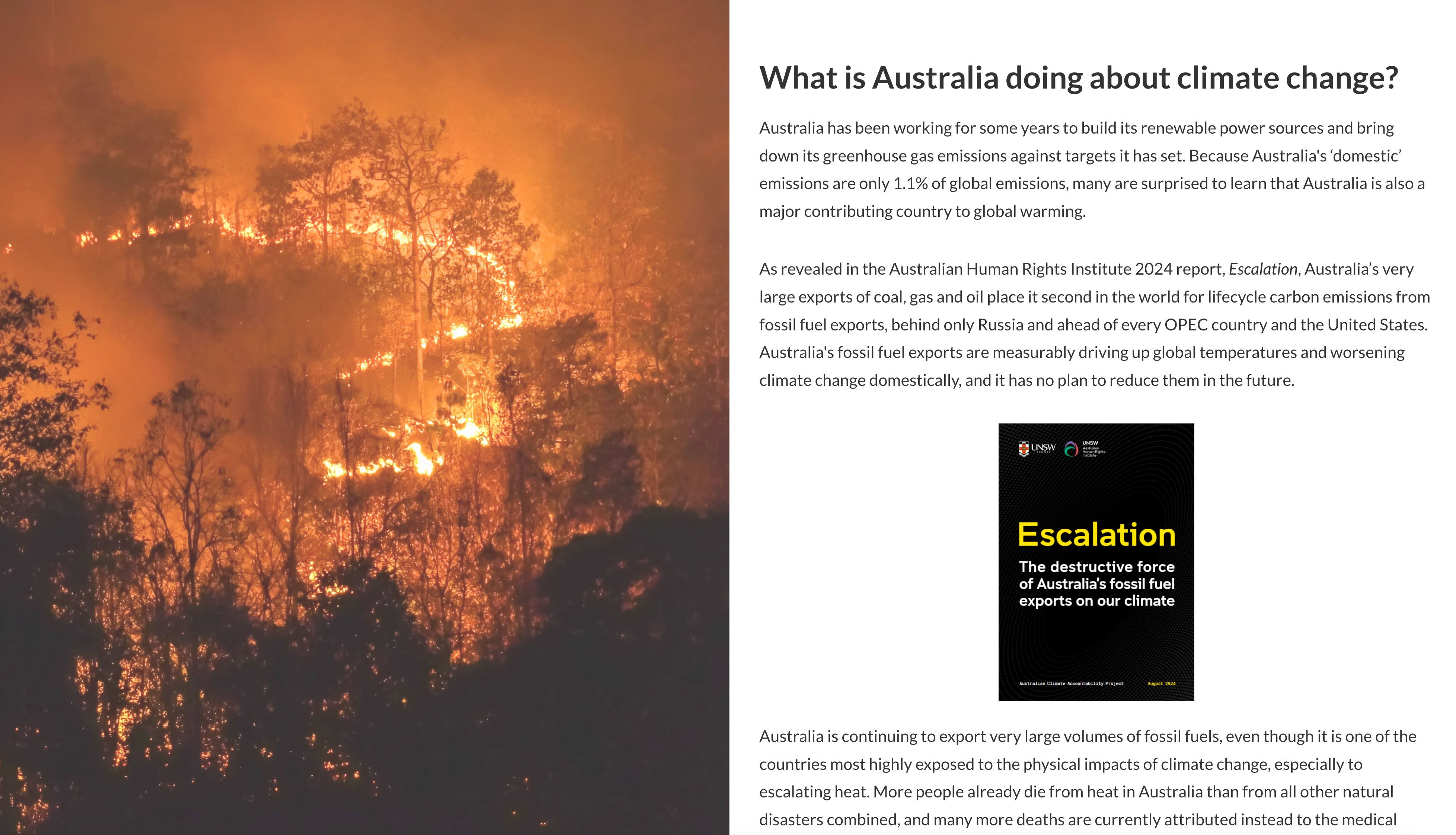 Photo of a bushfire.