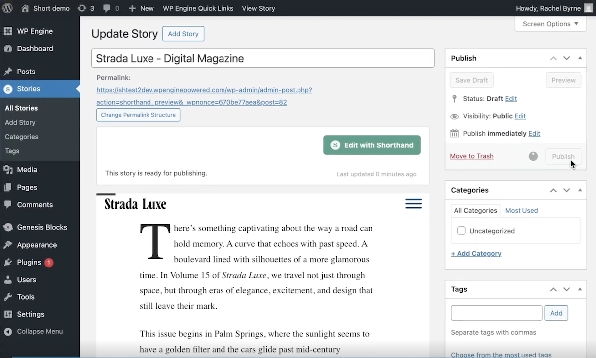 Screenshot from the WordPress editor