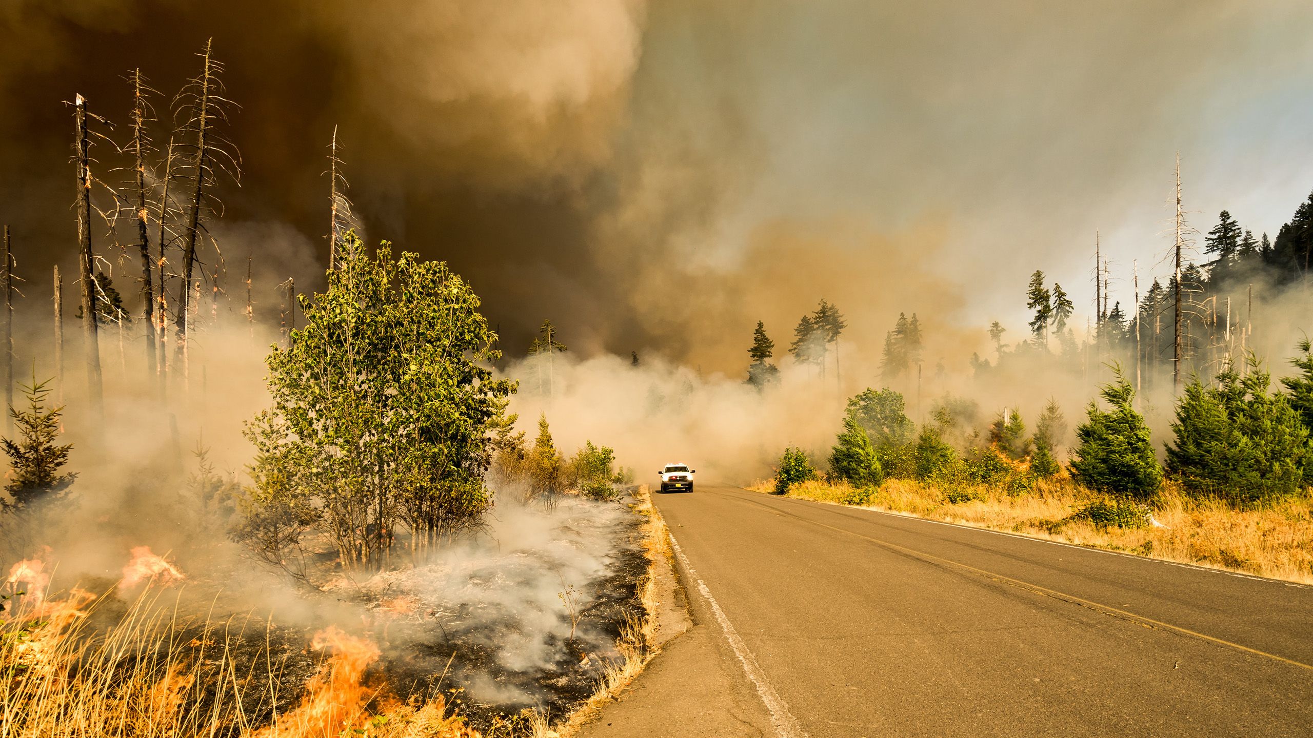 A car emerging from smoke