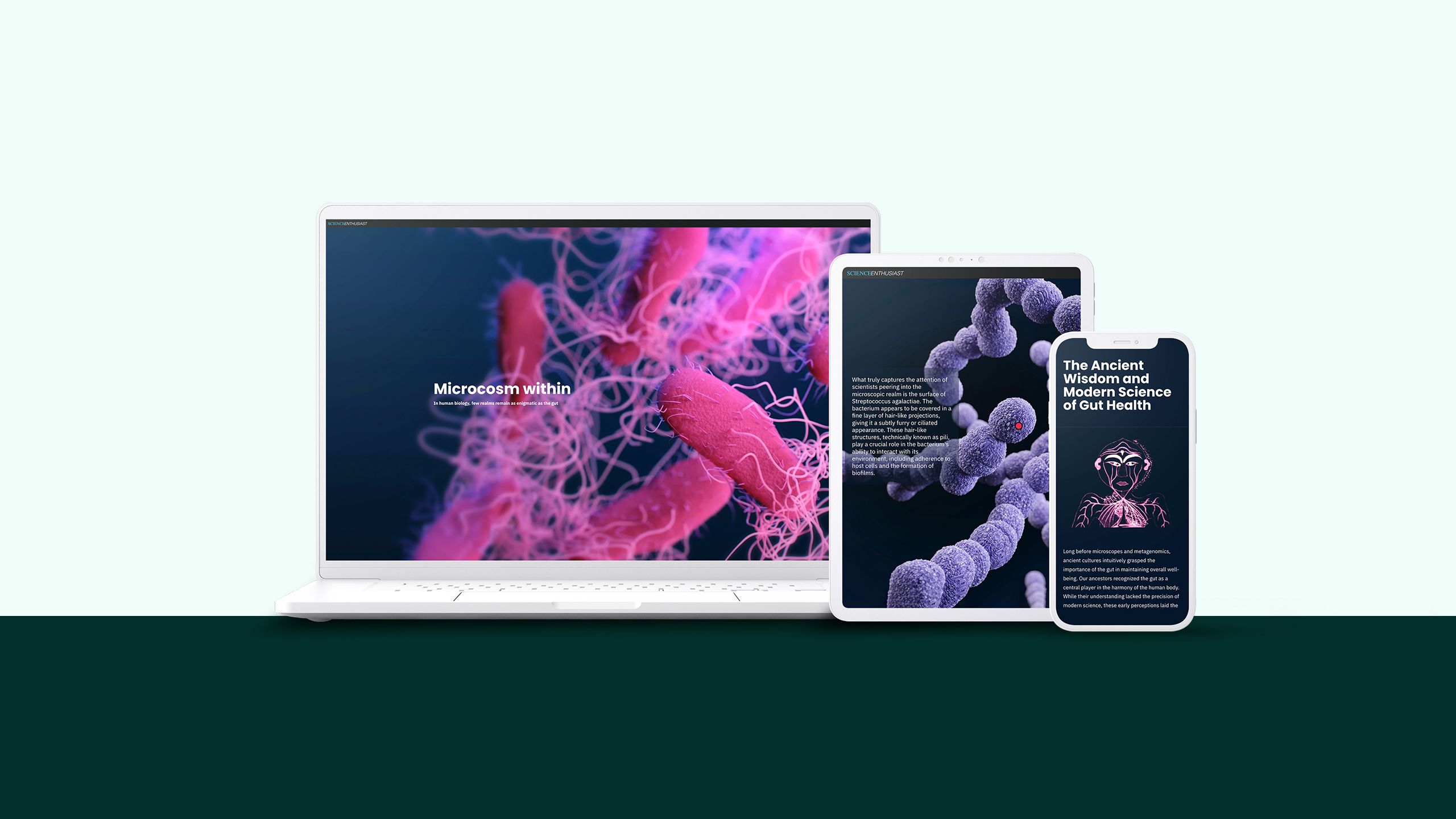 Colourful microscopic images of gut microbes.