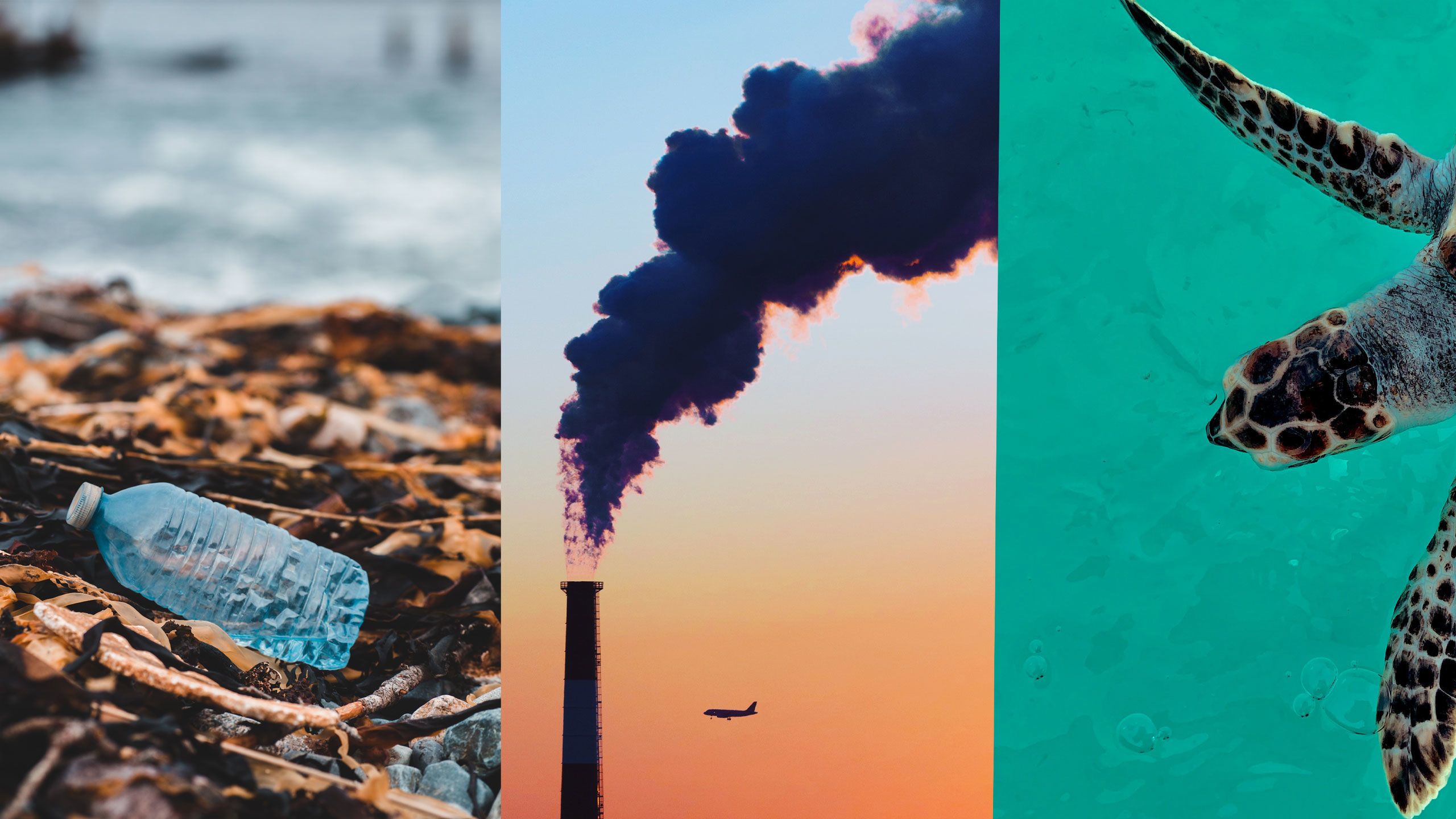Three images alongside each other. The first is a plastic bottle on a beach, the second is a funnel with smoke coming out, and the third is a turtle in the ocean.