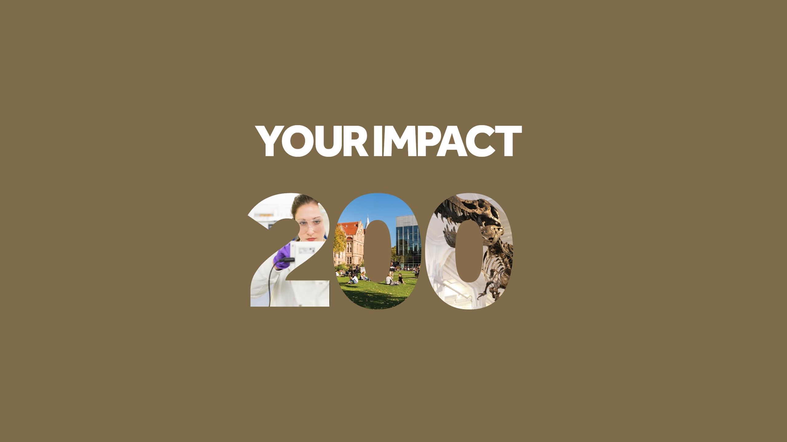 Donor impact report text says YOUR IMPACT 200.