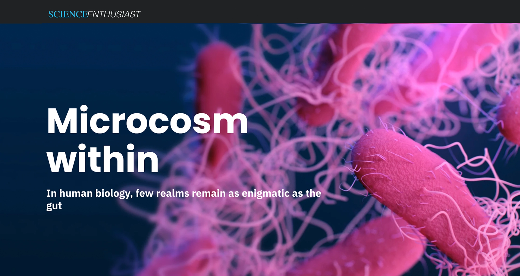 Microscope image of some gut microcosms.