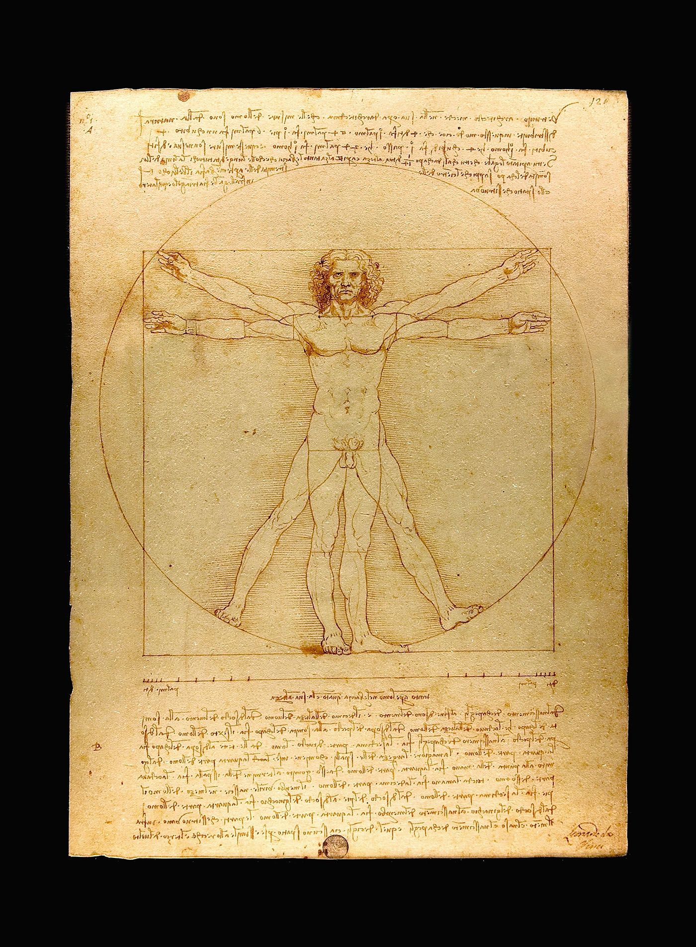 The Vitruvian Man by Leonardo da Vinci.