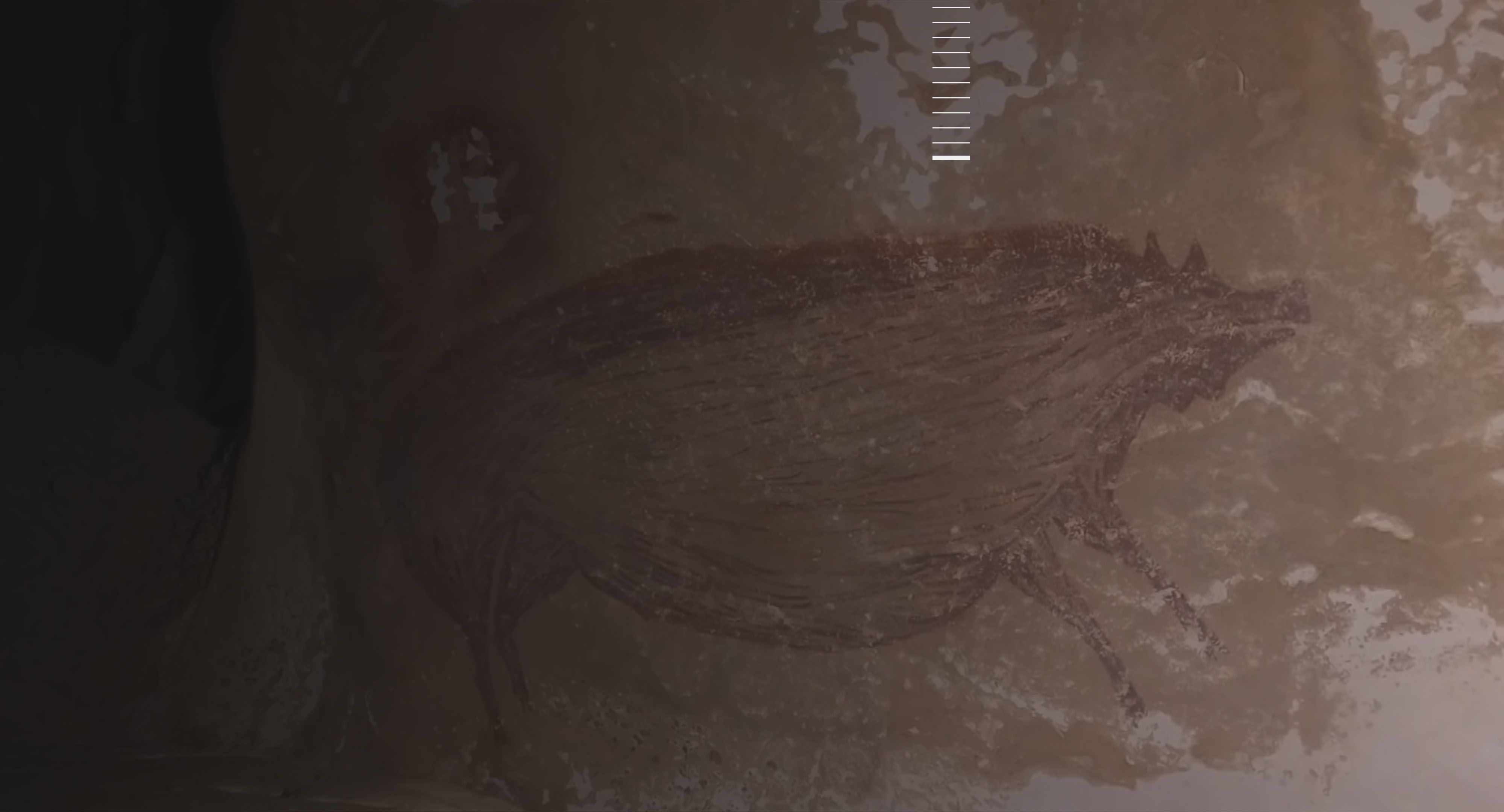 Warty Pig cave painting.