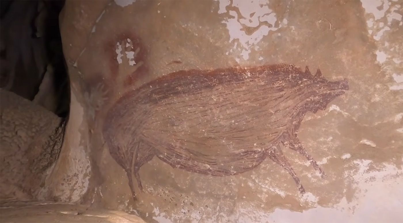 Warty pig cave image.