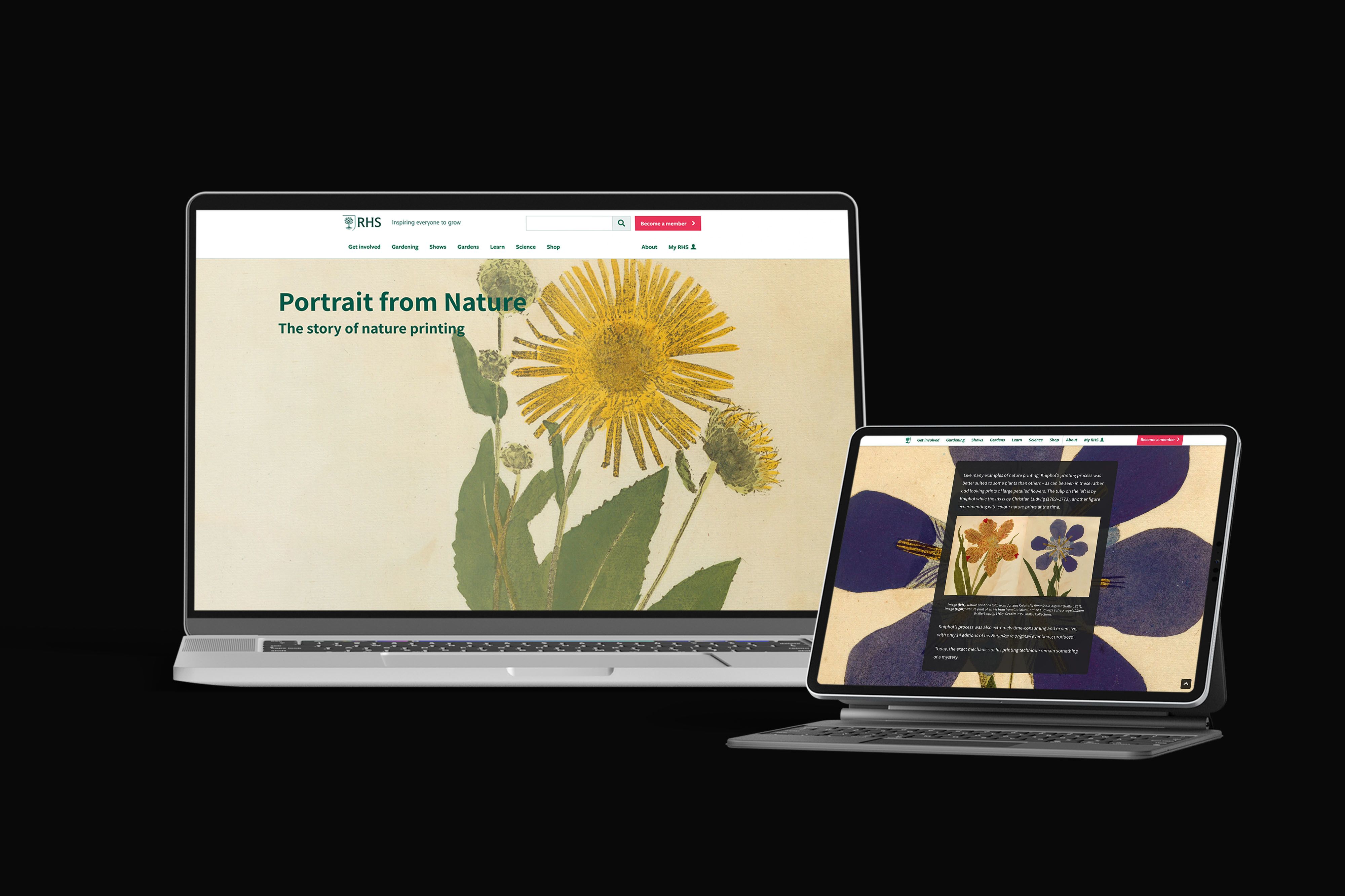 A laptop and tablet showing the web story: Royal Horticultural Society: Portraits From Nature.
