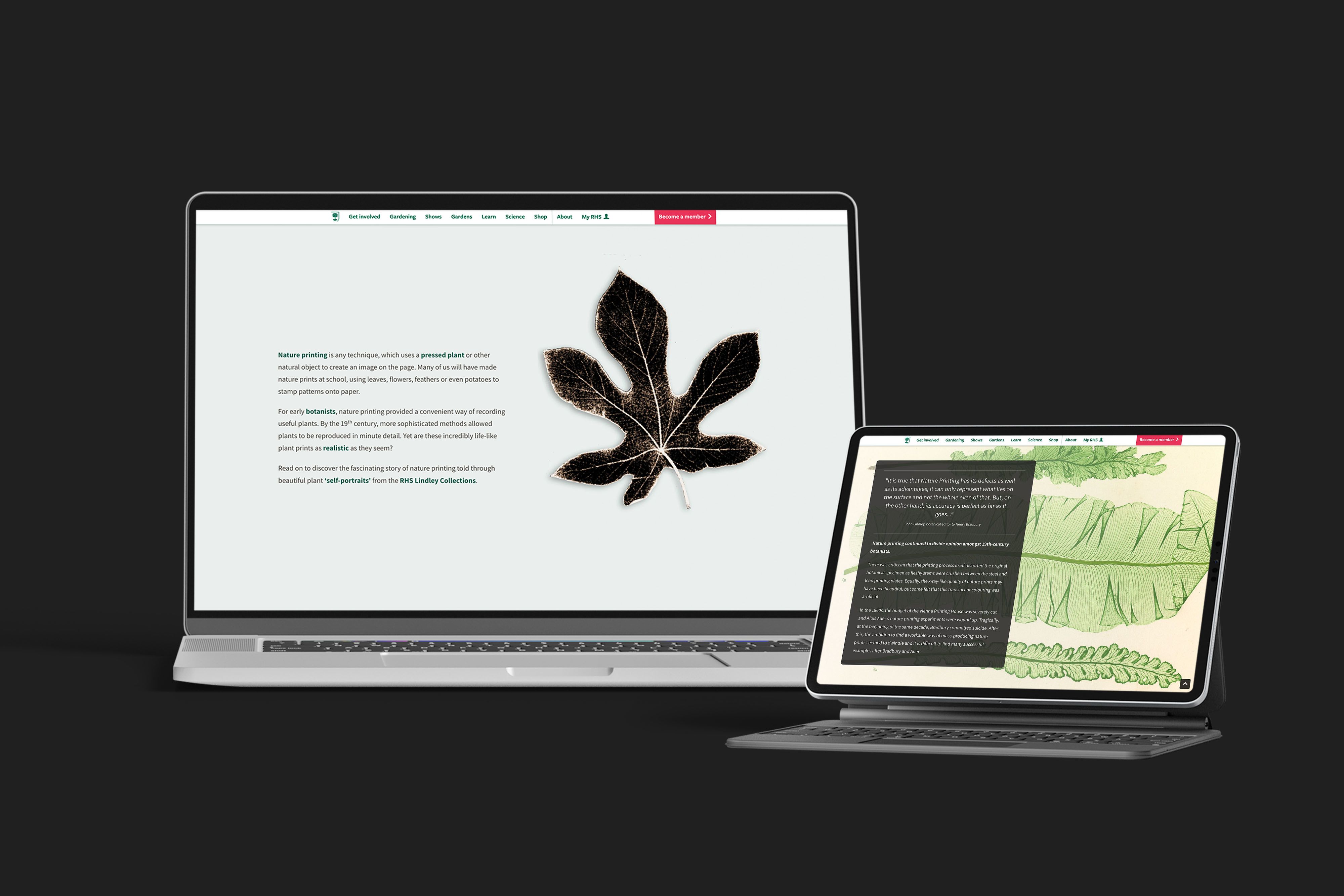A laptop and tablet showing the web story: Royal Horticultural Society: Portraits From Nature.