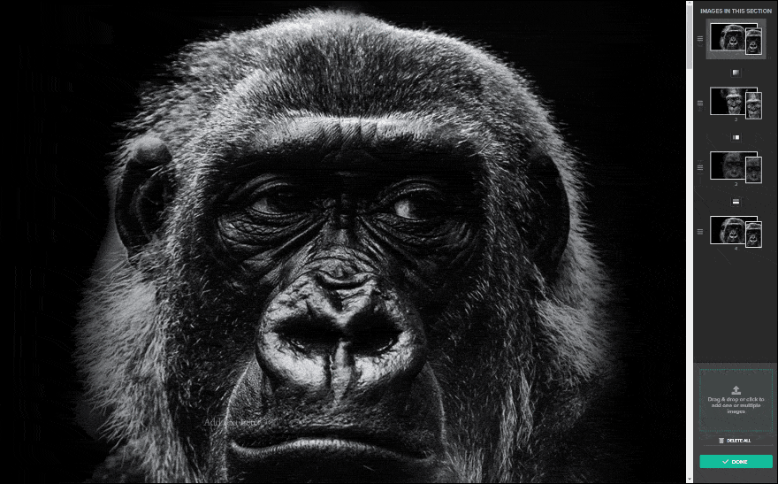 A GIF of the Reveal section in action in the Shorthand app