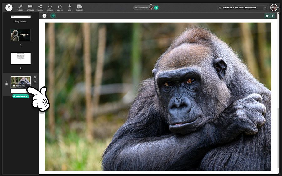 A screenshot of how to add a photo to your photo essay in the Shorthand app