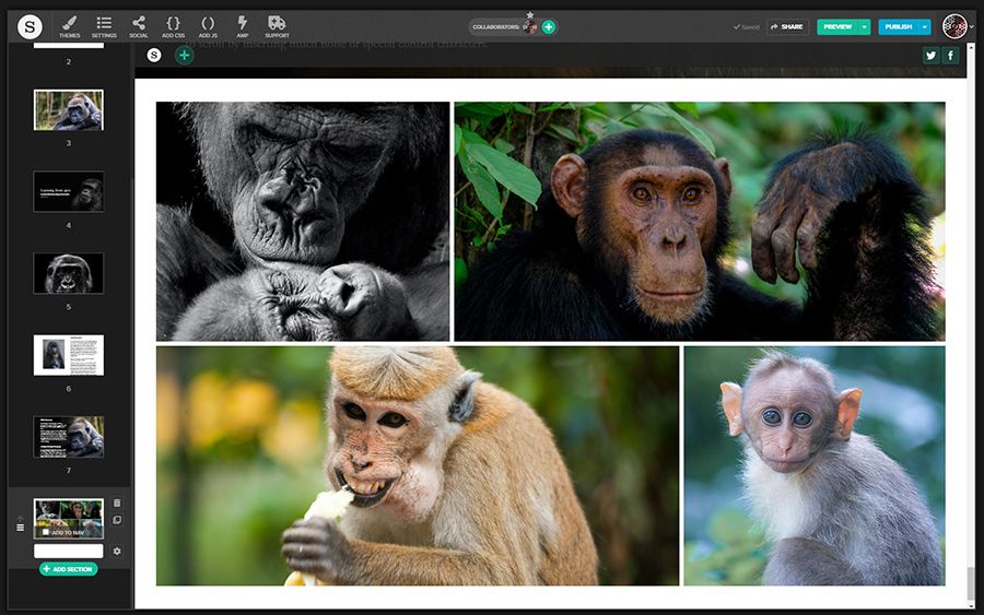 A screenshot of a Media Gallery in the Shorthand app
