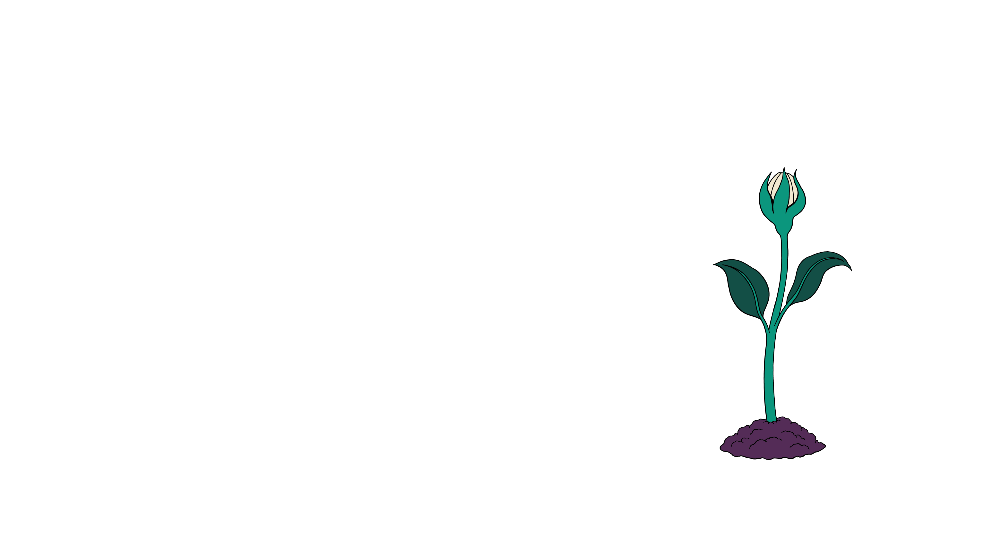 Illustration of a flower about to bloom.