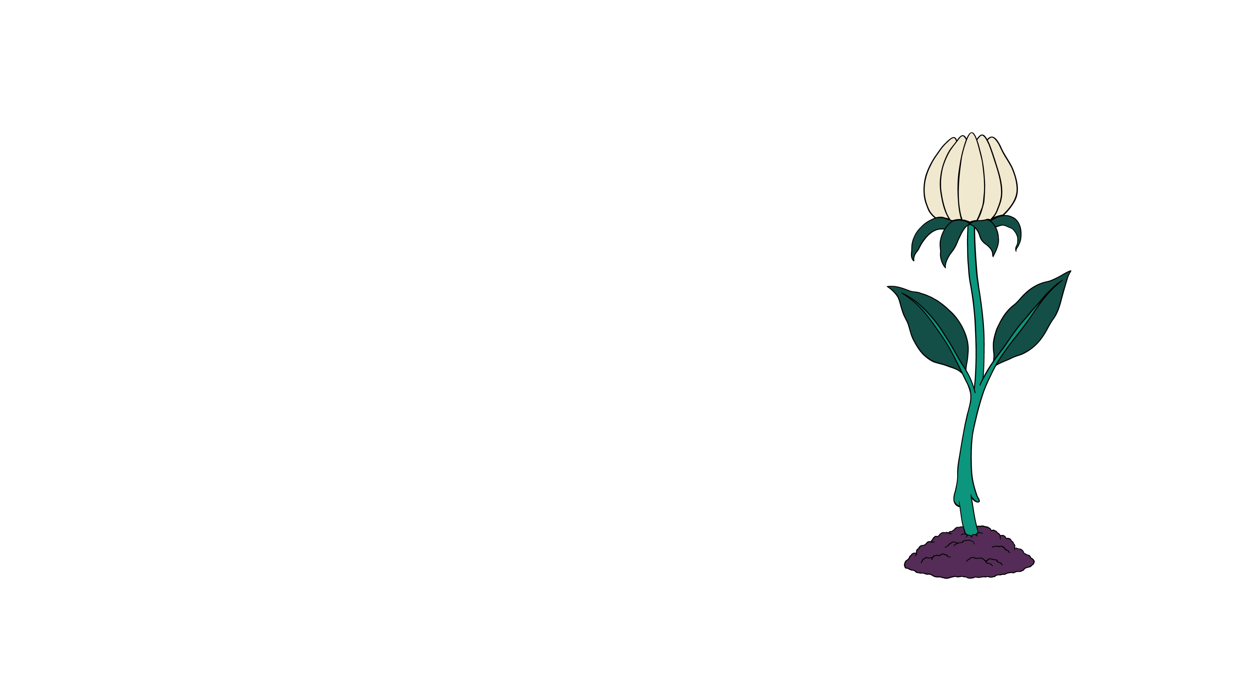 Illustration of a flower about to bloom.