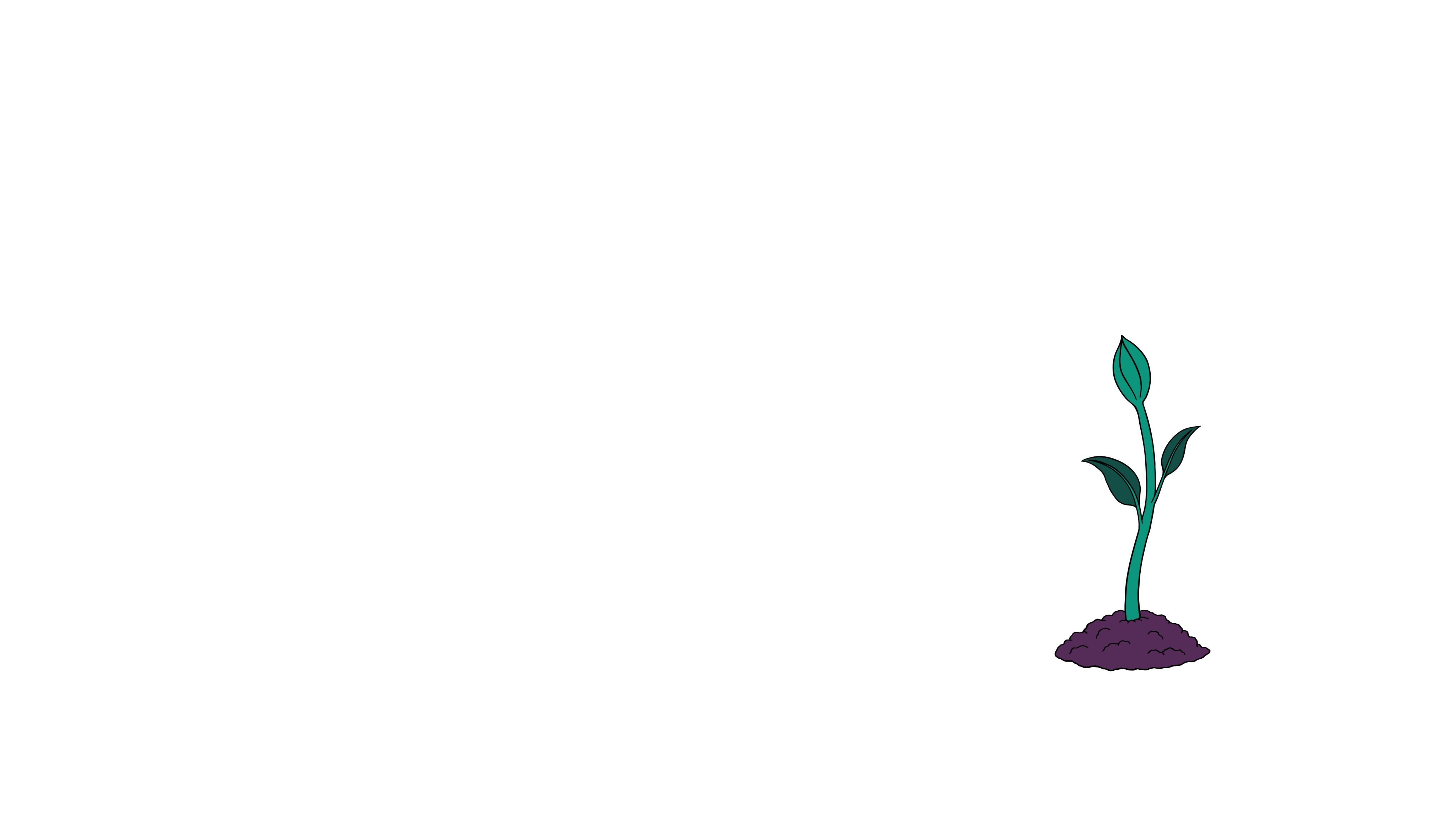 Illustration of a seedling with a couple of leaves and a bud on it.