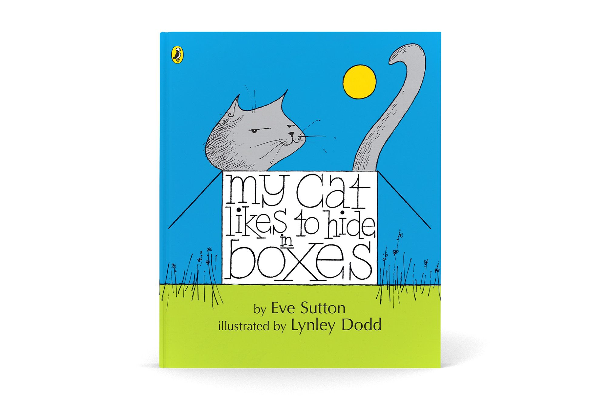 In the background is a flat blue sky and green ground. A grey, smiling cat sits in a box, which has the title 'My cat likes to hid in boxes' on it. The cat's tail nearly wraps around the round yellow sun