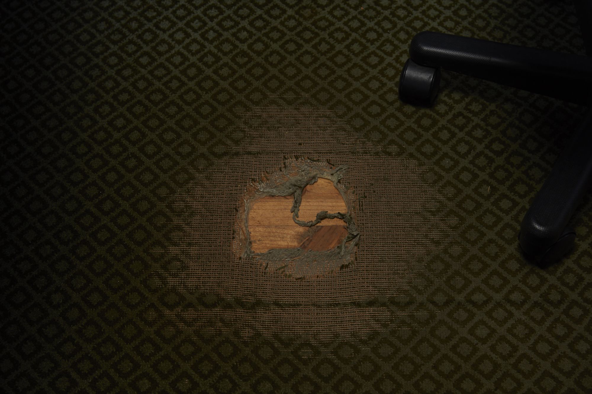 A small patch of carpet that has been worn away.