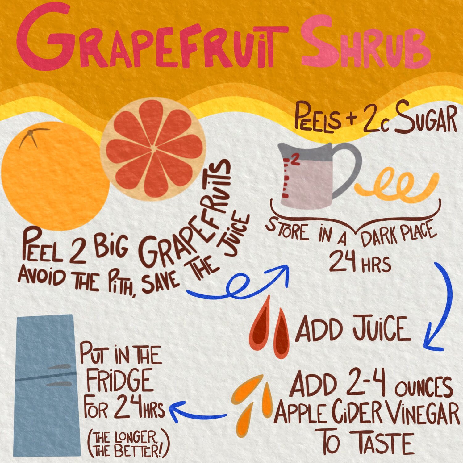 Drawing of two grapefruit, one cut in half, in the top left. Underneath, brown handwritten text says 'peel 2 big grapefruits, avoid the pith, save the juice. A blue loopy arrow points to a drawing of a measuring jug. Above the jug is the same font, writing 'peels + 2c sugar'. Underneath is a bracket and the words 'store in a dark place 24 hrs.' Another blue arrow points down to two dark orange drops. To the right of the drops is written 'add juice'.