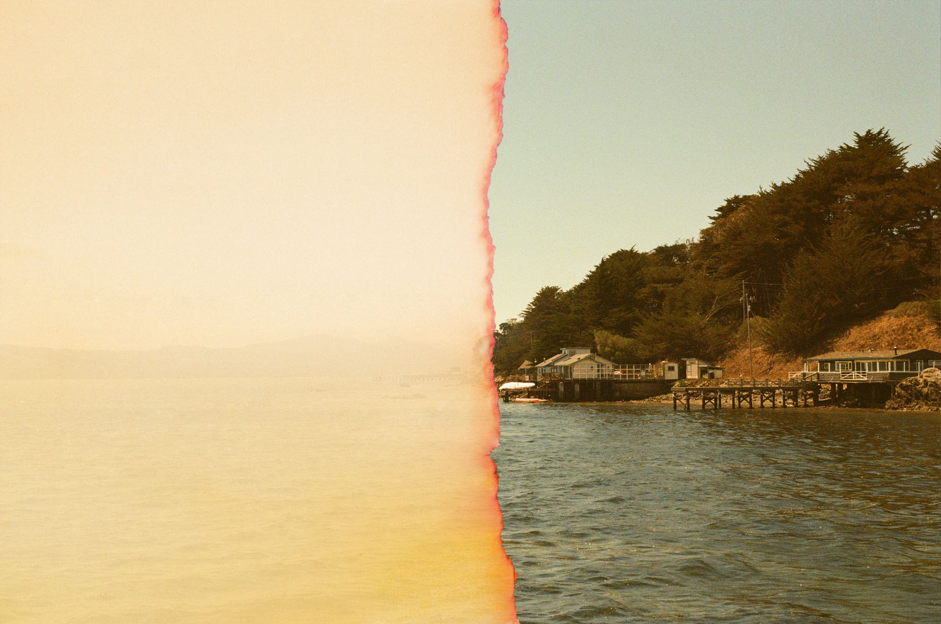 Docks and homes along Bodega Bay, California