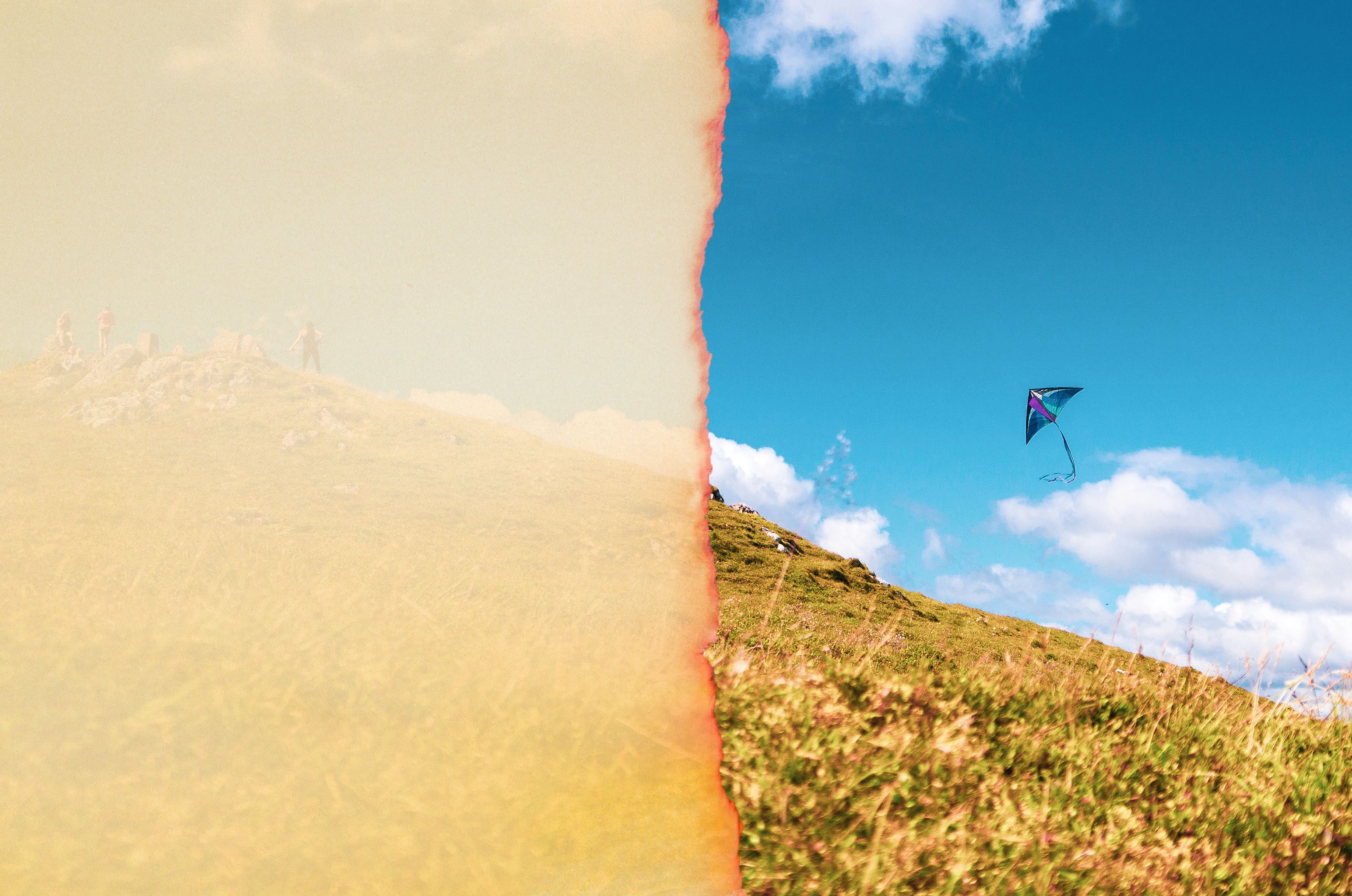 kite flying on a hillside