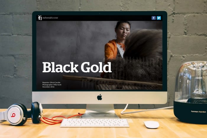 Black Gold by NZ Herald