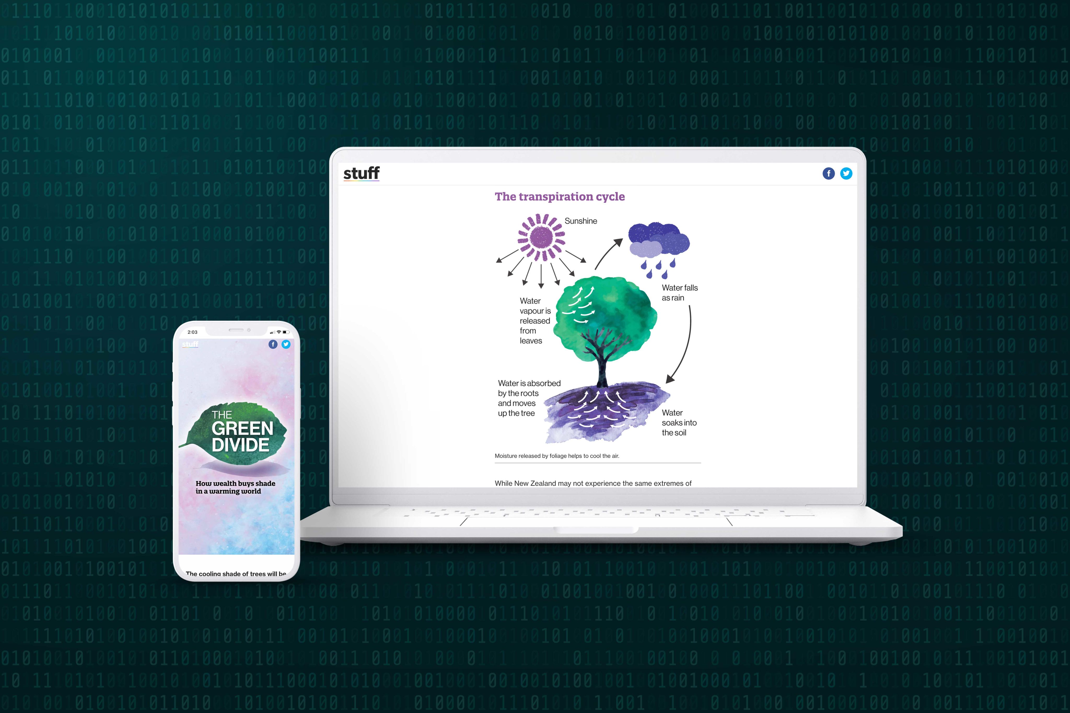 A smartphone screen and laptop screen showing sections of the story 'The green divide'.