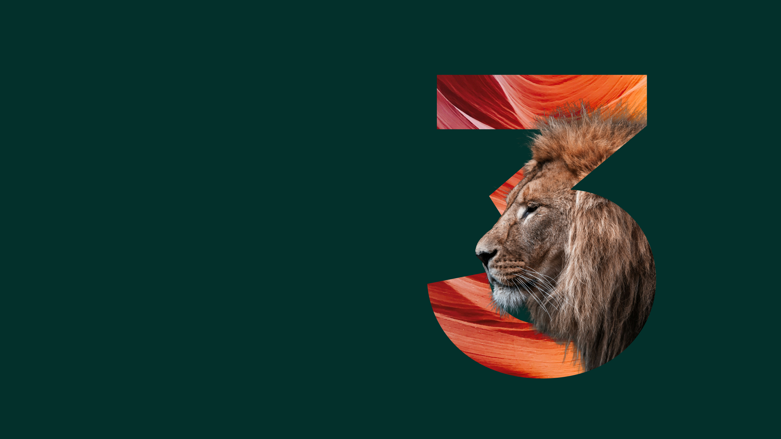 The face and mane of a lion, with a 3 digit in the background.