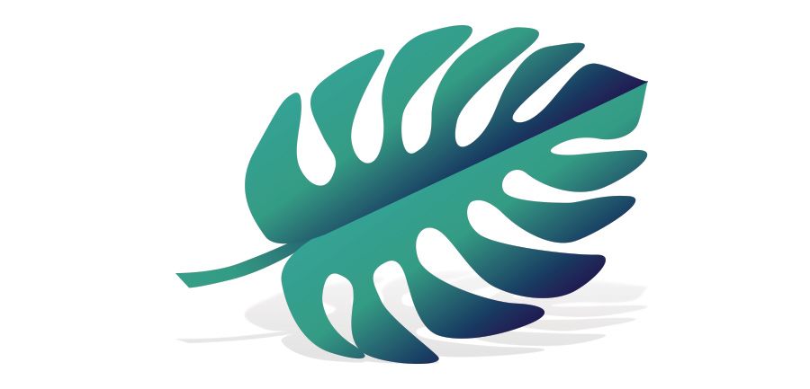 A green leaf