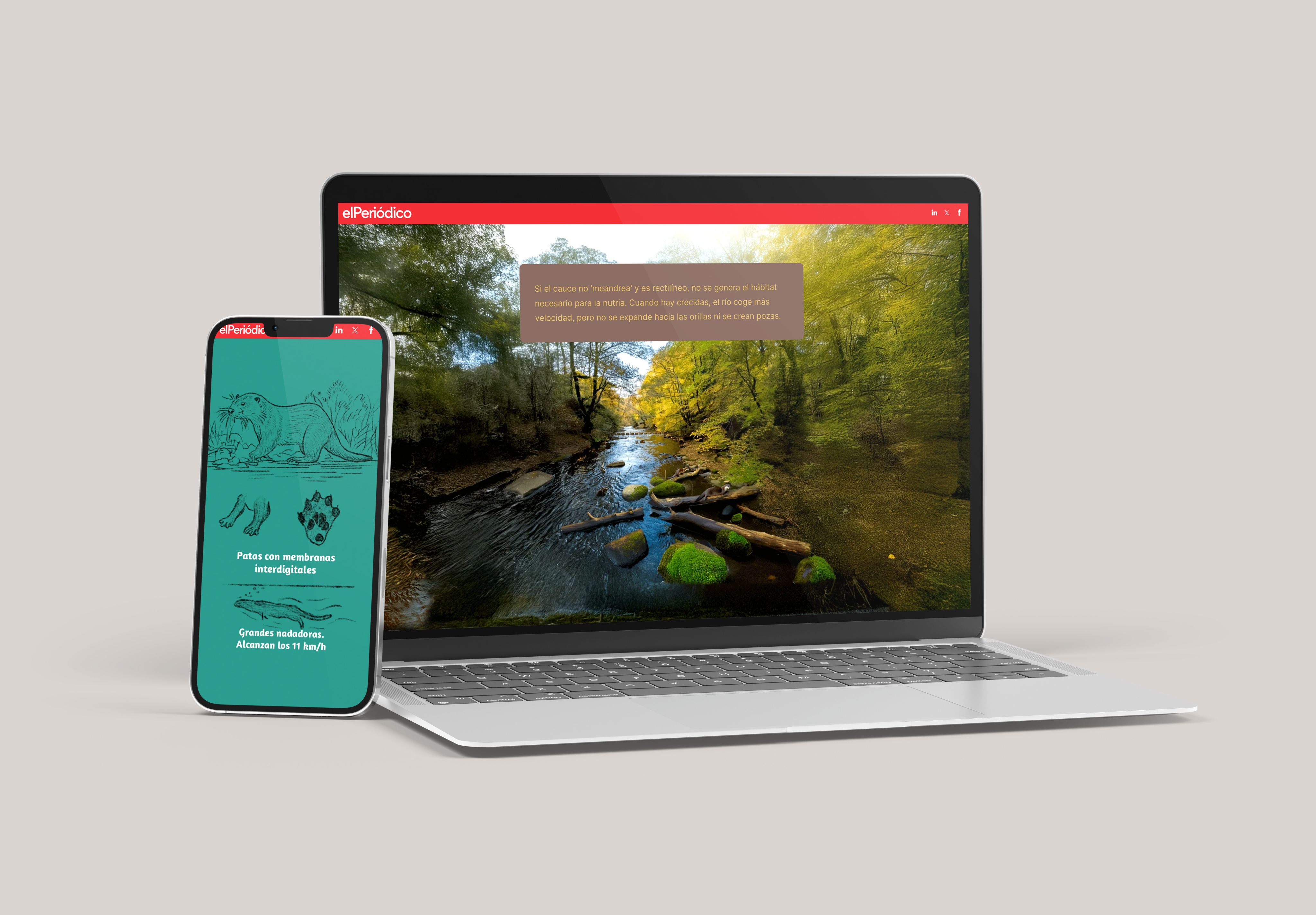 Interactive content about otters